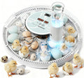 MeeF incubators for Hatching 28 Eggs,Independent atomizing humidifier, Auto