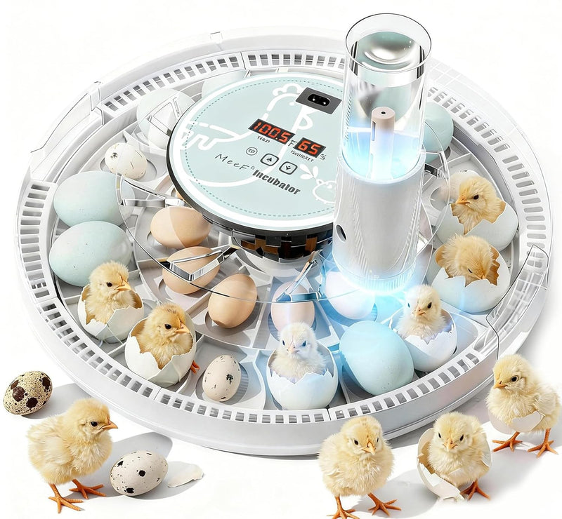 MeeF incubators for Hatching 28 Eggs,Independent atomizing humidifier, Auto