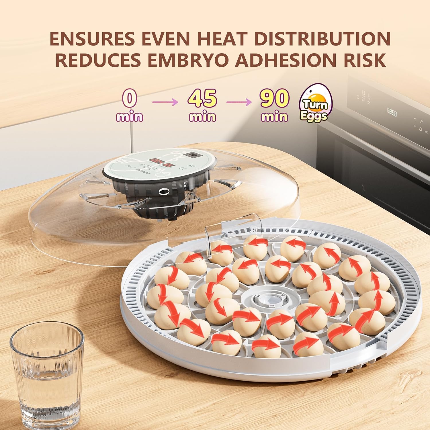 MeeF incubators for Hatching 28 Eggs,Independent atomizing humidifier, Auto